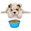 Promocional Resistente al calor Almacenado Almuerzo Grado Silicona Dog Bowls Desechable / Dog Alimentador Pet Bowl / plegable Pet Dog Cat Bowl